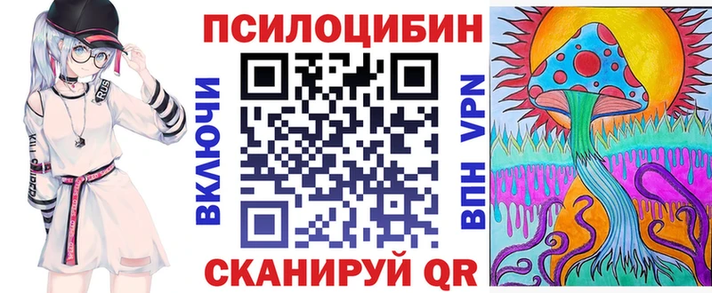 Галлюциногенные грибы Psilocybe  сайты даркнета состав  Гудермес 